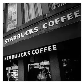 fototapety-312x312-starbucks-coffee