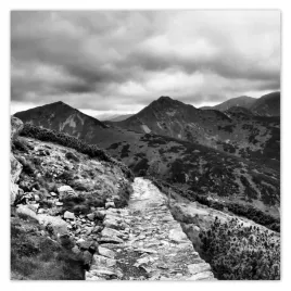 fototapety-312x312-tatry-polskie-gory-widok