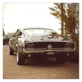 fototapety-312x312-vintage-foto-ford-mustang