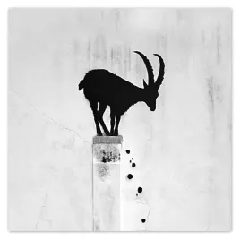 fototapety-312x312-kozica-banksy-gazela-gorska-brak-prywatnosci-mural