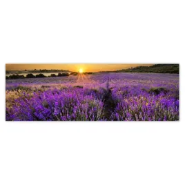 fototapety-200x66-lawendowy-pejzaz-slonce