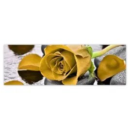 fototapety-200x66-zolta-roza-na-kamieniach