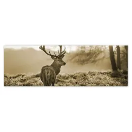 fototapety-200x66-jelen-las-zachod-slonca