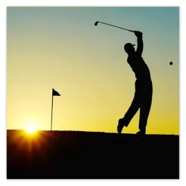 fototapety-208x208-golfista-celny-strzal