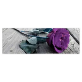 fototapety-200x66-fioletowa-roza-podloga
