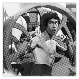 fototapety-208x208-bruce-lee-karateka
