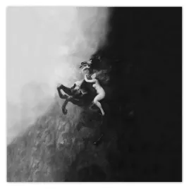 fototapety-208x208-szal-uniesien-kobieta-kon