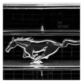fototapety-208x208-ford-mustang-znak
