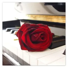 fototapety-208x208-rozna-na-pianinie