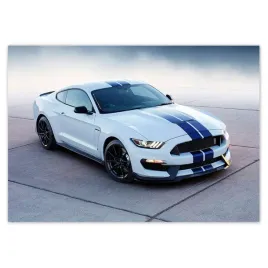 fototapety-208x146-mustang-shelby-ford-usa