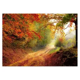 fototapety-208x146-droga-w-lesie-jesien