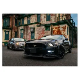 fototapety-208x146-czarny-amerykanski-potwor