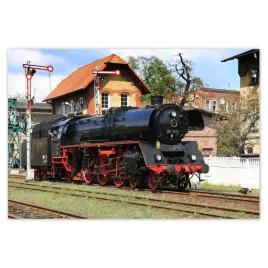 fototapety-200x135-parada-parowozow-wolsztyn