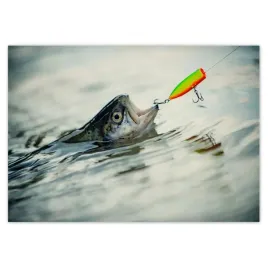 fototapety-208x146-pstrag-na-haczyku-ryba