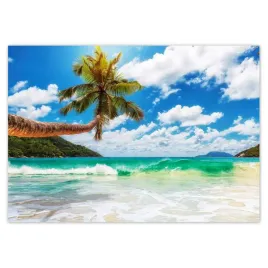 fototapety-208x146-tropiki-pejzaz-palmy
