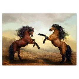fototapety-208x146-dwa-konie