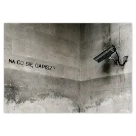 fototapety-208x146-banksy-na-co-sie-gapisz-kamera-monitoring
