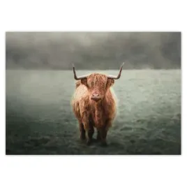fototapety-208x146-jak-z-rogami-laka-gorska