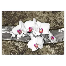 fototapety-208x146-biala-orchidea-marmurkowe-tlo