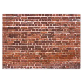 fototapety-208x146-ceglana-sciana-cegly