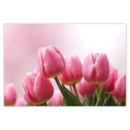 fototapety-200x135-rozowe-tulipany