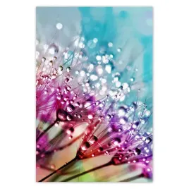 fototapety-122x184-krople-rosy-dmuchawiec