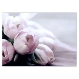 fototapety-254x184-tulipany-kwiaty-kwiatki