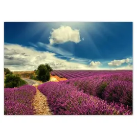 fototapety-254x184-lawendowy-pejzaz