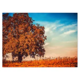 fototapety-254x184-jesienne-barwy-pejzaz