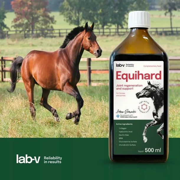 LAB-V Equihard na stawy dla koni i kucyków 1x500ml PROMOCJA