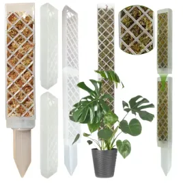 podpora-do-roslin-pnaczy-do-mchu-sphagnum-palik-tyczka-do-monstery-50-cm