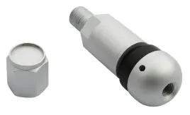 zawor-wentyl-do-czujnika-cisnienia-beru-tpms-05-1-sztuka