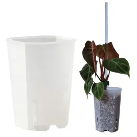 doniczka-plastikowa-przezroczysta-aro-7-wysoka-do-rozsady-i-sadzonek-wklad