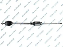 polos-prawa-1147-mm