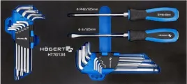 hogert-ht7g134-wklad-szafki-narzedziowej-wkretaki-klucze-torx-hex-20el