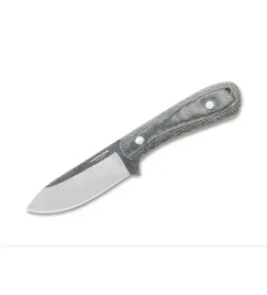 noz-condor-63865-ceres