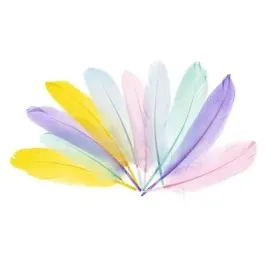 piorka-gesie-15-20cm-pastelowe