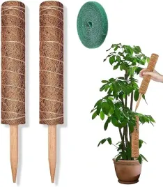 zestaw-2-kolkow-kokosowych-do-roslin-1007