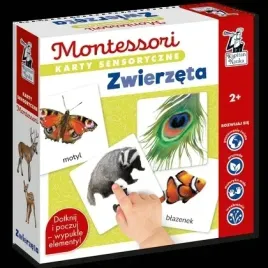 karty-sensoryczne-montessori-zwierzeta-kapitan-nauka