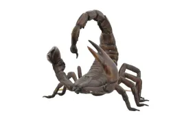 figura-skorpiona-skorpion-rzezba-z-brazu-dekoracje-ozdoba-dom-ogrod