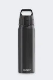 butelka-sigg-wmb-one-10-l-black