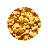 ziarno-genlog-1l-kukurydza-scopex-pojemnosc-1000-ml