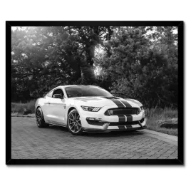 plakaty-w-ramie-50x40-sportowy-ford-mustang