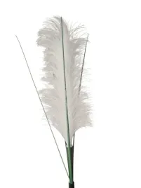 solarne-kwiaty-pioropusz-trawa-pampasowa-60-cm-neutralna-biel