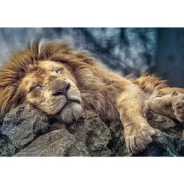 puzzle-1000-ukladanka-widok-zwierzeta-lew-kot-koty-spiacy-lew-12-trefl