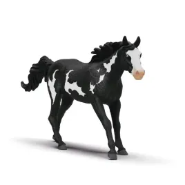 walach-rasy-paint-horse