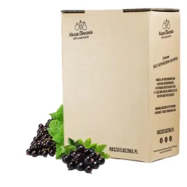 sok-tloczony-nfc-100percent-czarna-porzeczka-wspomaga-nerki-obniza-cholesterol-3l