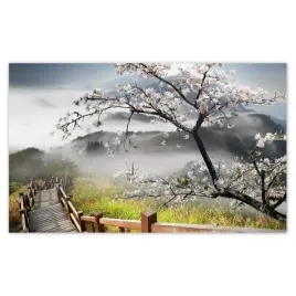 fototapety-416x254-japonia-kwitnaca-wisnia