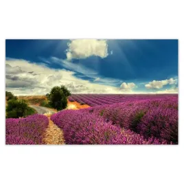 fototapety-416x254-lawendowy-pejzaz