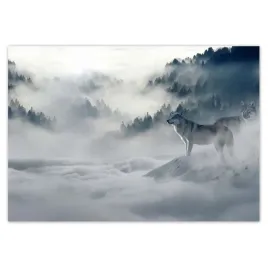 fototapety-416x290-wilki-w-naturze